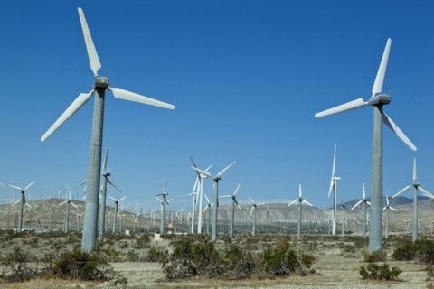 Wind turbines in rural landscape