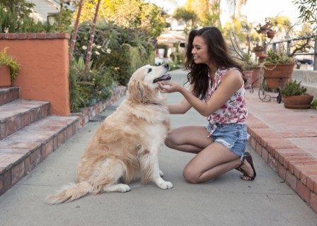 Mixed race woman petting dog on sidewalk