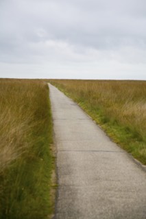 Path through field