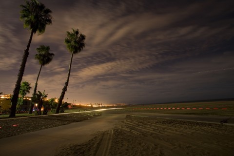 Palm trees and path near ocean