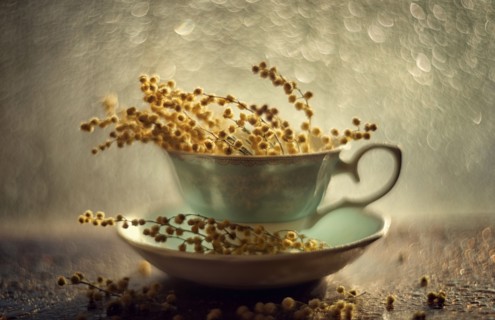 Dried flowers in teacup