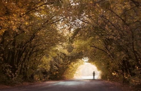 Silhouette of distant Caucasian boy standing under tree canopy