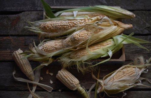 Fresh corn on wooden table
