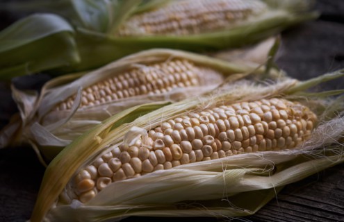 Fresh corn on wooden table