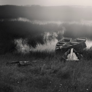 Canoes docked in tall grass in lake