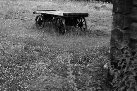 Wooden wagon in rural field