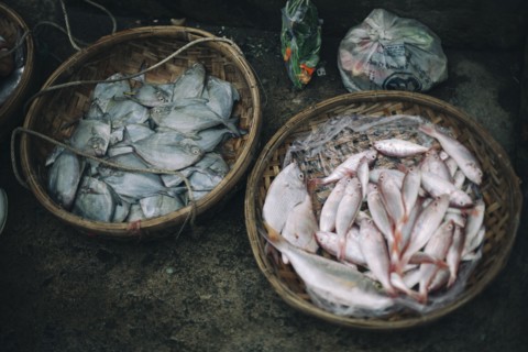 Baskets of fish