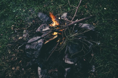 Branches in campfire