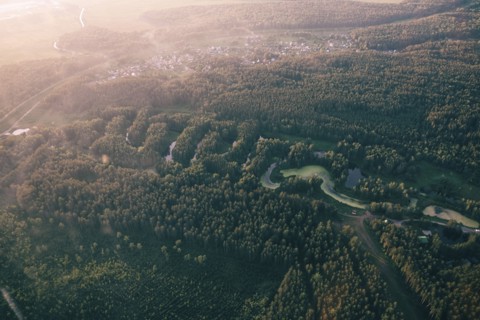 Aerial view of river and trees
