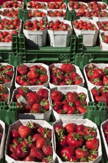 Strawberries for sale in outdoor market
