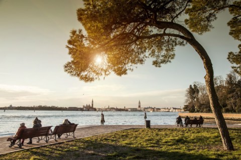 Park benches on waterfront