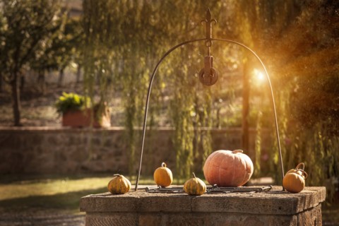 Pumpkins on stone well
