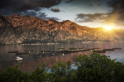 Boat in river near mountain at sunset