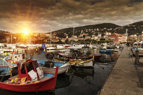 Boats at marina at sunset