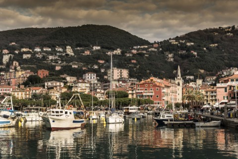 Boats at marina