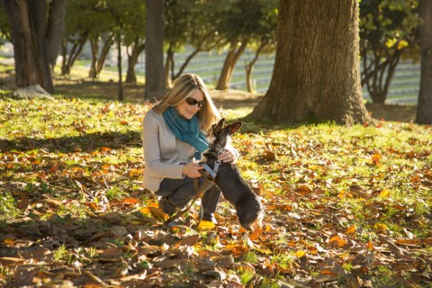 Caucasian woman petting dog in park