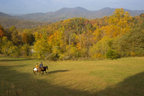 Distant Caucasian couple horseback riding in field