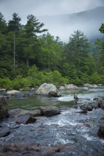 Caucasian man fishing in river
