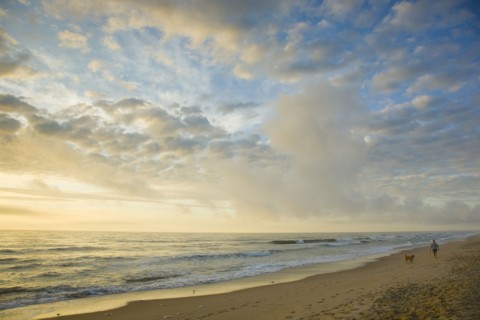 Man and dog on ocean beach at sunset