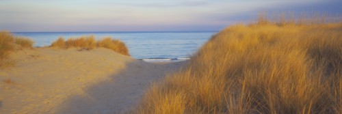 Path between sand dunes near ocean