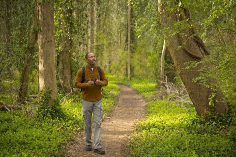 African American man walking on path in forest holding binoculars