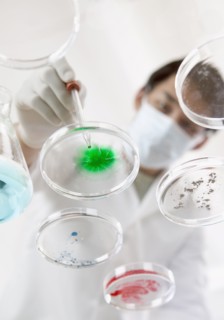 Man in lab with petri dishes