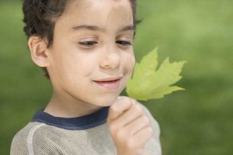 Boy studying green leaf