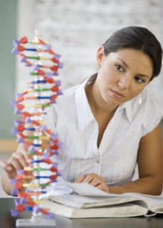 Hispanic woman looking at DNA model