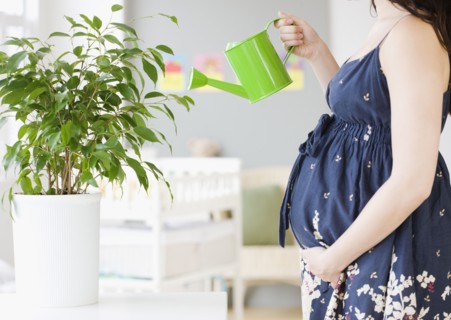 Pregnant Asian woman watering plants