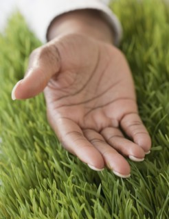 African woman's hand open in grass