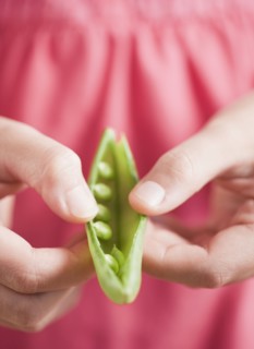 Mixed race girl opening pea pod