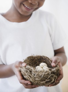 Black boy holding nest with bird's eggs