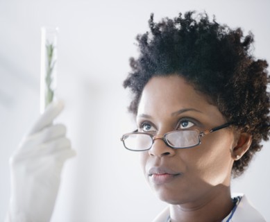 Black scientist looking at herb in test tube
