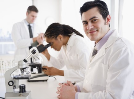 Scientists working in laboratory