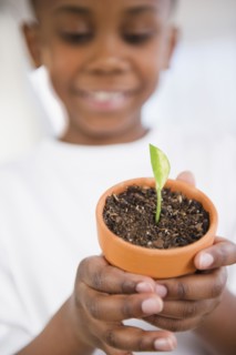 Black boy holding seedling in pot