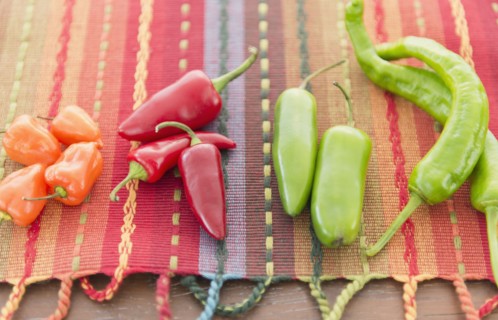Colorful chili peppers