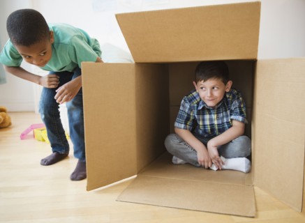 Boys playing with cardboard box