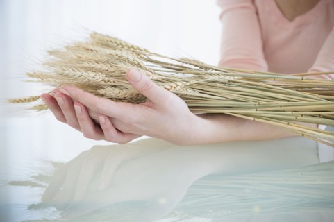 Caucasian woman holding stalks of wheat