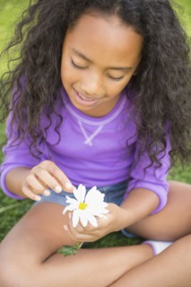 Mixed race girl picking petals off daisy