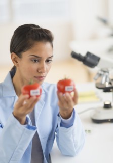 Hispanic scientist examining samples in laboratory