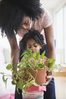 Mother and daughter carrying plant together