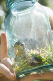 Close up of Caucasian boy holding jar with frog
