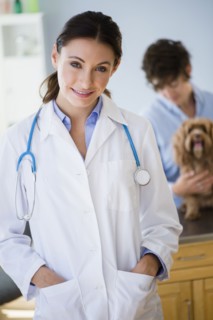 Caucasian veterinarian smiling in office