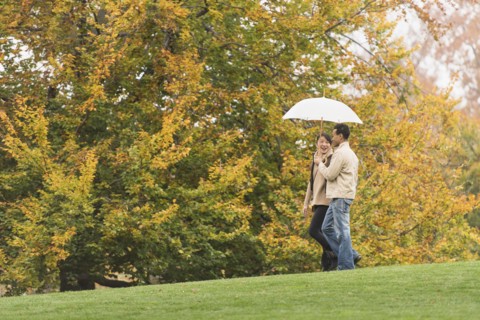Couple walking with umbrella in park