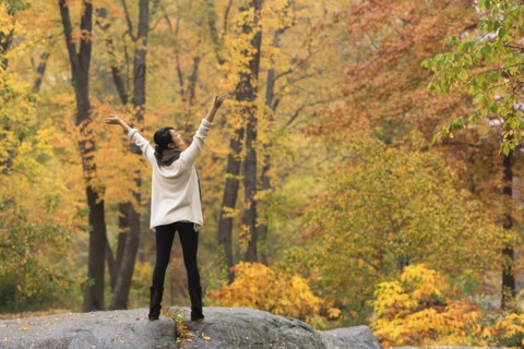 Asian woman cheering with arms outstretched on rock in park
