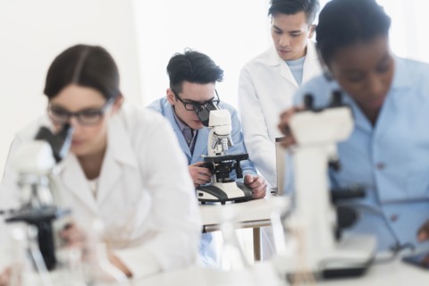 Scientists using microscopes in research laboratory