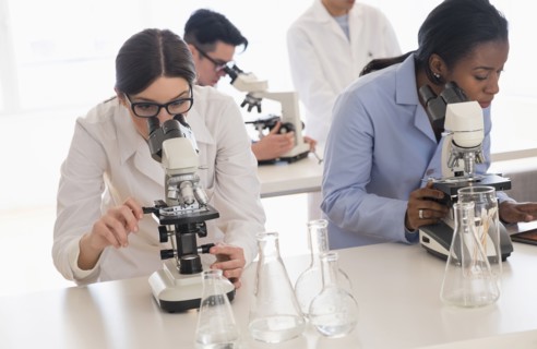 Scientists using microscopes in research laboratory