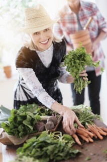 Older Caucasian couple harvesting vegetables from garden