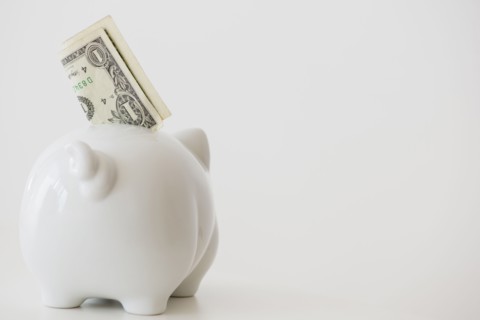 Close up of piggy bank with money