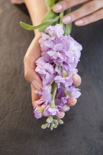 Hispanic woman holding flowers